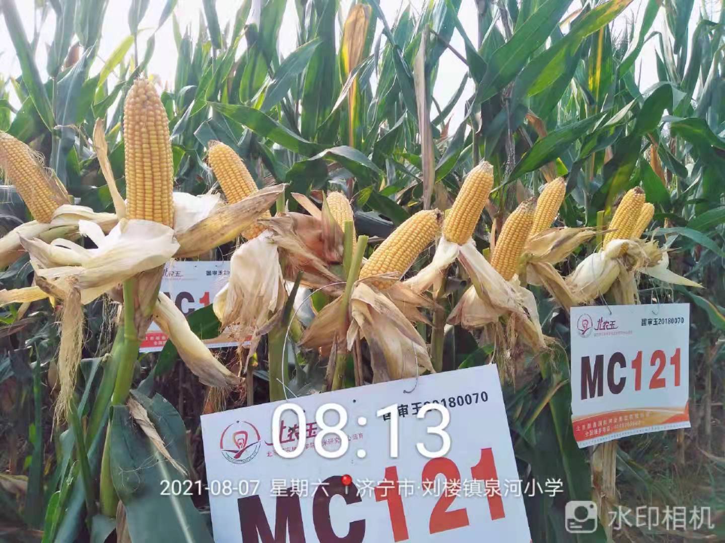 1659591893137457.jpg